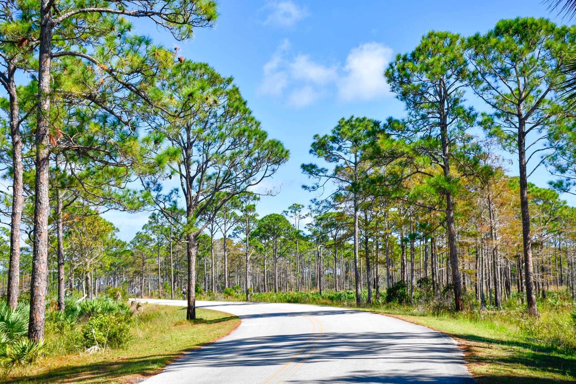 Cantonment, Florida homes and neighborhoods
